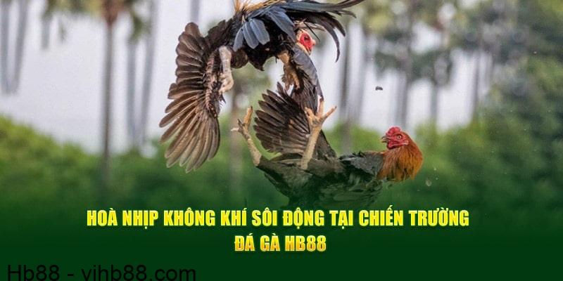 đá gà hb88 là sảnh game chất lượng thu hút đông người tham gia